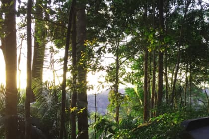 The Habitat Penang Hill